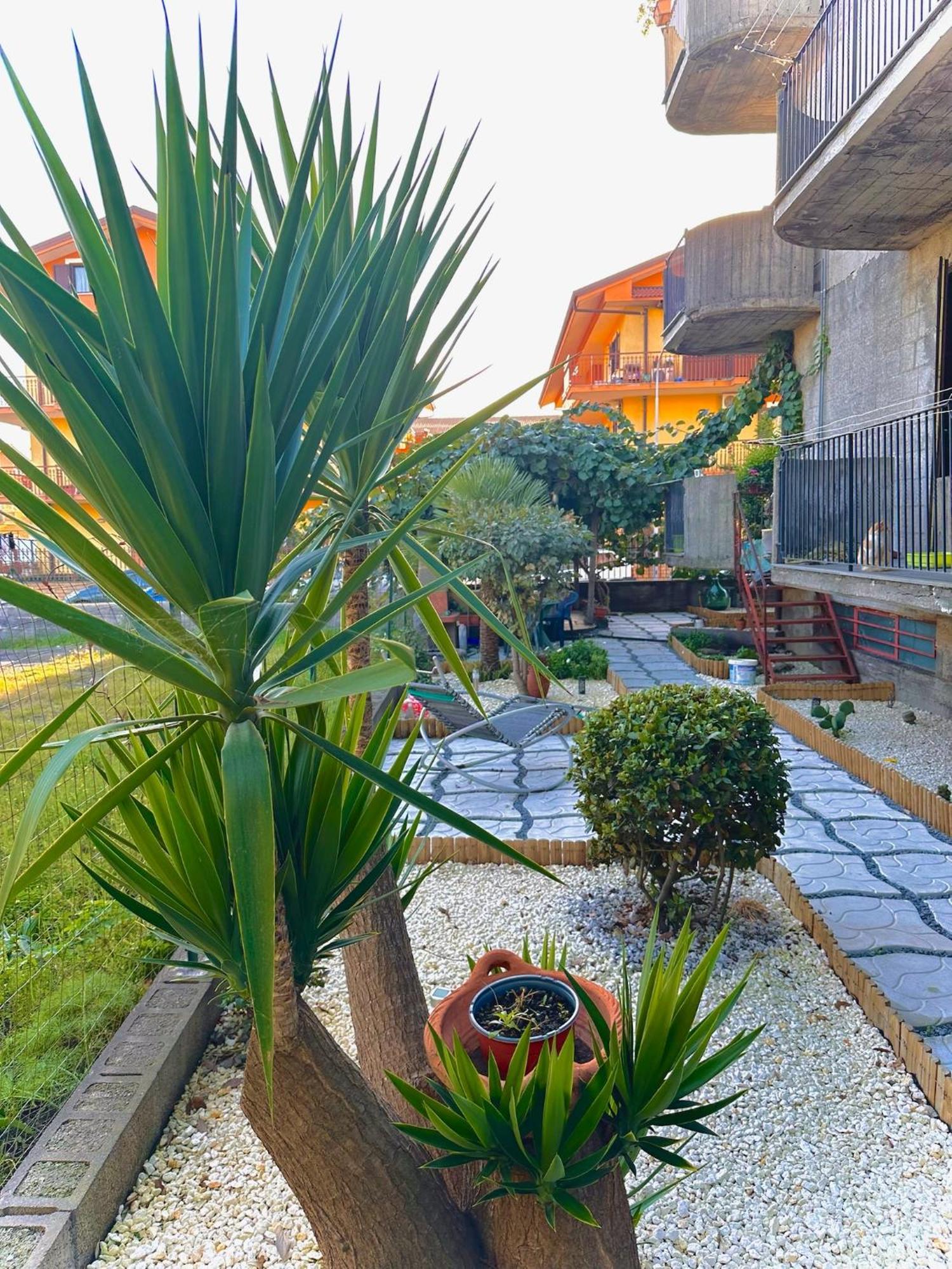 Hotel Il corbezzolo Linguaglossa Esterno foto